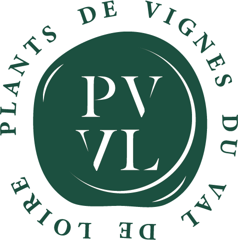 Logo pvvl vert plus clair 1